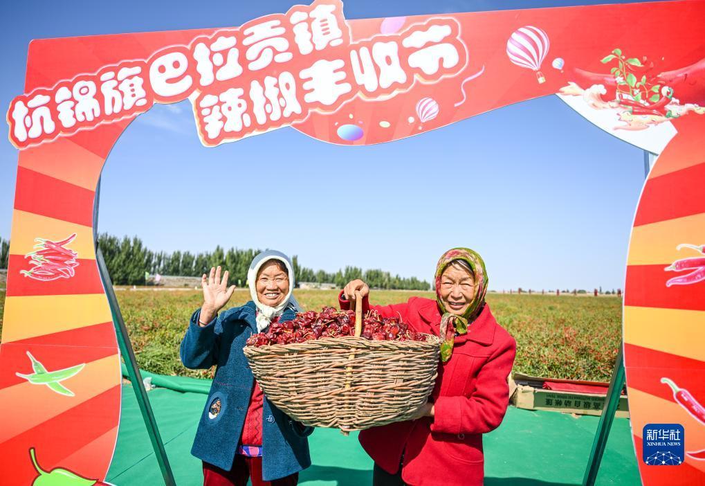 众赢国际